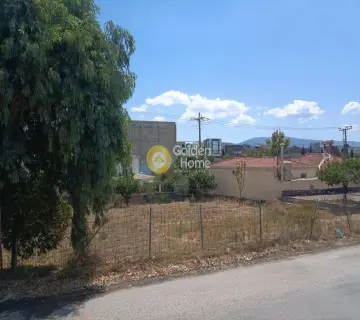 Golden Home Property Image