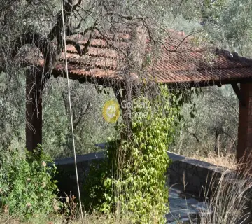 Residence complex 200m<sup>2</sup> for rent photo 2