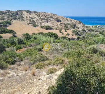 Residential 1341m<sup>2</sup> for sale photo 3778445