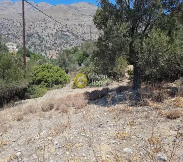 Residential 5760m<sup>2</sup> for sale photo 3778432