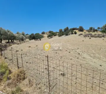 Residential 4315m<sup>2</sup> for sale photo 3778504