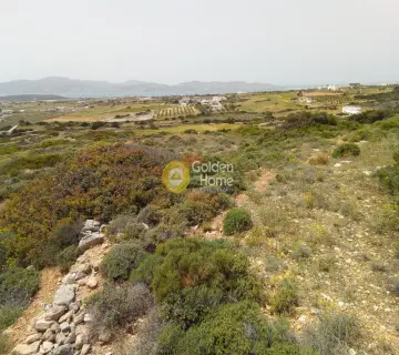 土地 5399m<sup>2</sup> for sale photo 3