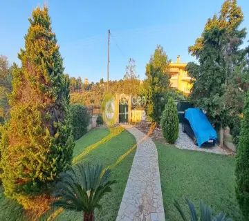 Μονοκατοικία 206τ.μ. προς πώληση φωτογραφία 4