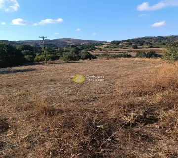 Residential 2850m<sup>2</sup> for sale photo 4