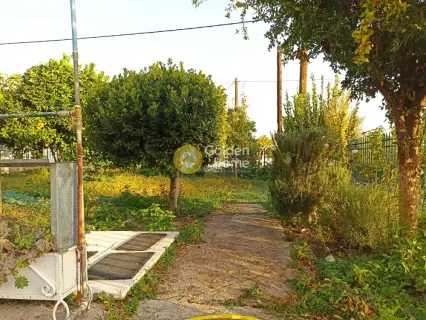 Μονοκατοικία 162τ.μ. προς πώληση φωτογραφία 5
