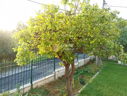 Μονοκατοικία 162τ.μ. προς πώληση φωτογραφία 6
