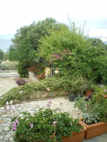 Independent Maisonette 200m<sup>2</sup> for sale photo 70
