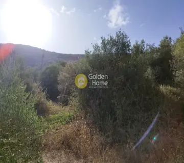 Parcel 1200m<sup>2</sup> for sale photo 1