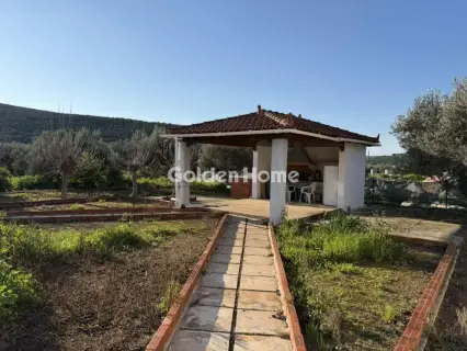 Μονοκατοικία 215τ.μ. προς πώληση φωτογραφία 2