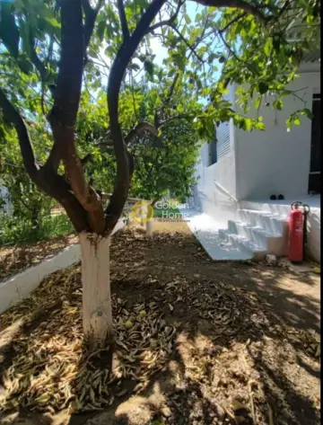 Μονοκατοικία 65τ.μ. προς πώληση φωτογραφία 13