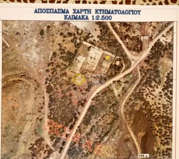 Professional Plot 13000m<sup>2</sup> for sale photo 3792684
