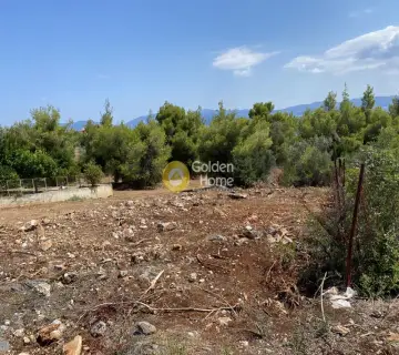 Οικιστικό 1060τ.μ. προς πώληση φωτογραφία 3789733