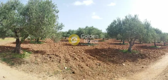 Professional Plot 10121m<sup>2</sup> for sale photo 1