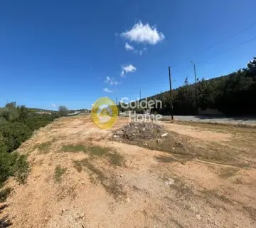 Αγροτεμάχιο 3815τ.μ. προς πώληση φωτογραφία 2