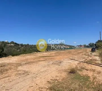 Αγροτεμάχιο 3815τ.μ. προς πώληση φωτογραφία 1