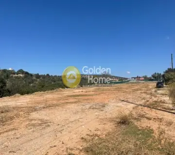 Αγροτεμάχιο 3815τ.μ. προς πώληση φωτογραφία 4