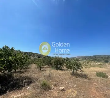 Αγροτεμάχιο 1015τ.μ. προς πώληση φωτογραφία 3799773