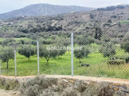 住宅 6400m<sup>2</sup> for sale photo 5273000