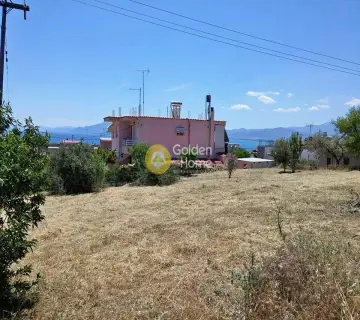 住宅 725m<sup>2</sup> for sale photo 1