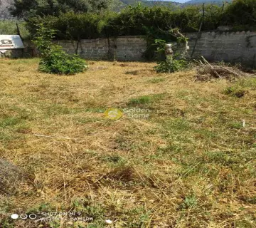 Residential 788m<sup>2</sup> for sale photo 1
