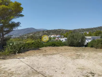 Οικιστικό 459τ.μ. προς πώληση φωτογραφία 1