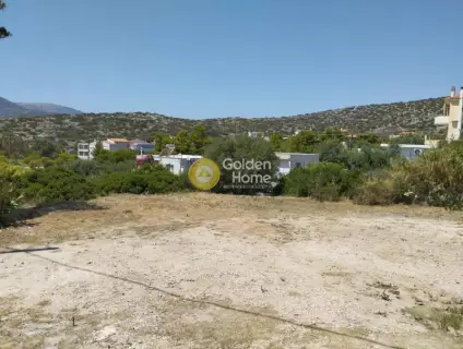 Οικιστικό 459τ.μ. προς πώληση φωτογραφία 4