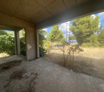 Building 750m<sup>2</sup> for sale photo 25