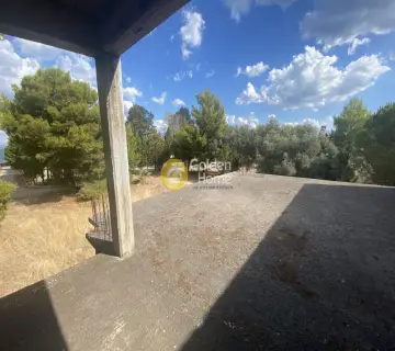 Building 750m<sup>2</sup> for sale photo 26