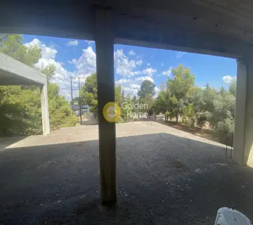 Building 750m<sup>2</sup> for sale photo 27