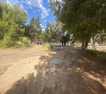 Building 750m<sup>2</sup> for sale photo 38