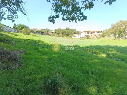 Professional Plot 4700m<sup>2</sup> for sale photo 5