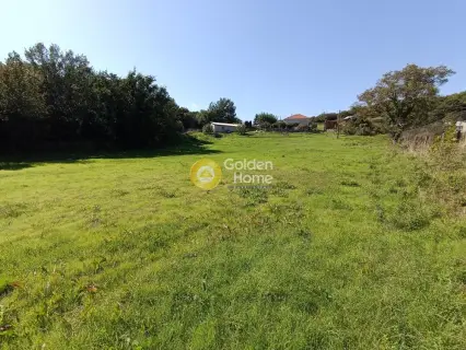 Professional Plot 4700m<sup>2</sup> for sale photo 9