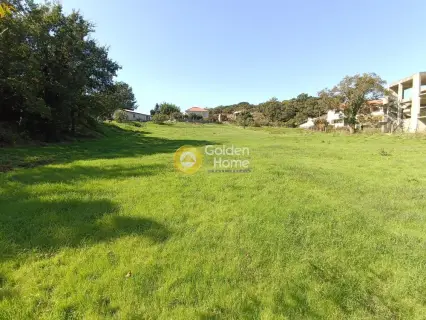 Professional Plot 4700m<sup>2</sup> for sale photo 8