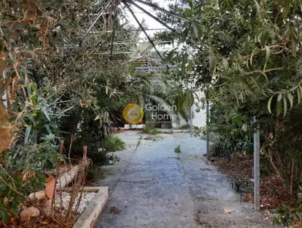 Building 418m<sup>2</sup> for sale photo 14