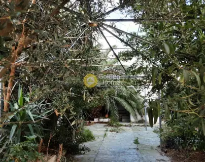 Building 418m<sup>2</sup> for sale photo 15