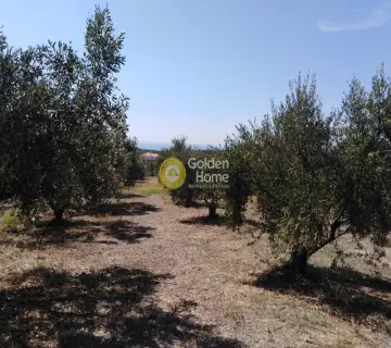 住宅 658m<sup>2</sup> for sale photo 4