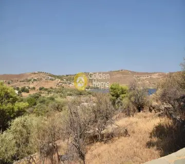 Residential 12000m<sup>2</sup> for sale photo 2