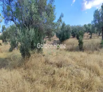 Parcel 10200m<sup>2</sup> for sale photo 4961220