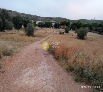 Οικιστικό 567τ.μ. προς πώληση φωτογραφία 1