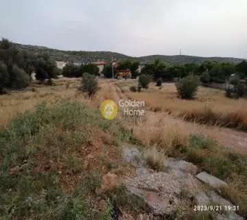 Οικιστικό 567τ.μ. προς πώληση φωτογραφία 2