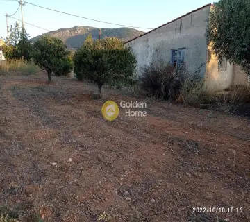Μονοκατοικία 45τ.μ. προς πώληση φωτογραφία 3817175