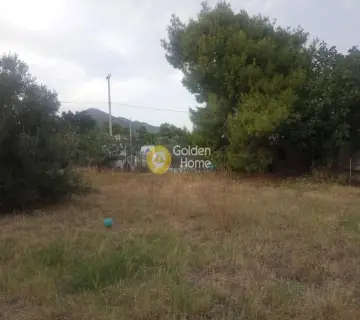 Οικιστικό 380τ.μ. προς πώληση φωτογραφία 4