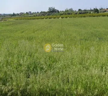 住宅 18000m<sup>2</sup> for sale photo 4