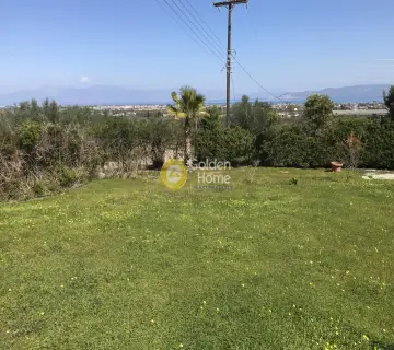 Golden Home Property Image