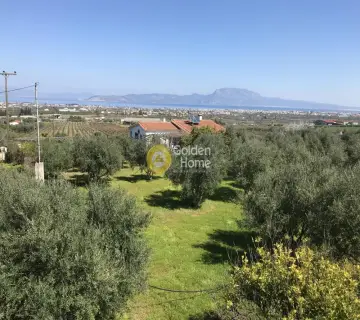 Golden Home Property Image