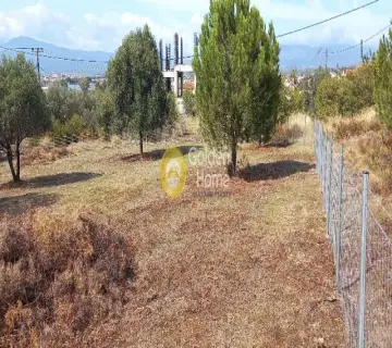 Residential 1800m<sup>2</sup> for sale photo 3836094