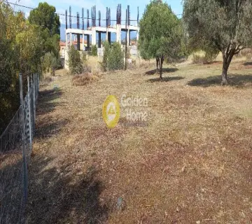 Residential 1800m<sup>2</sup> for sale photo 3836098