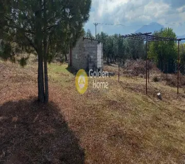 Residential 1800m<sup>2</sup> for sale photo 3836100