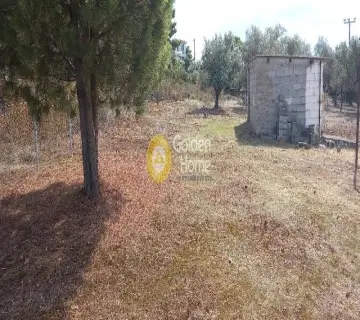 Residential 1800m<sup>2</sup> for sale photo 3836101