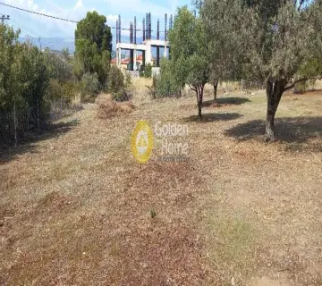 Residential 1800m<sup>2</sup> for sale photo 3836103